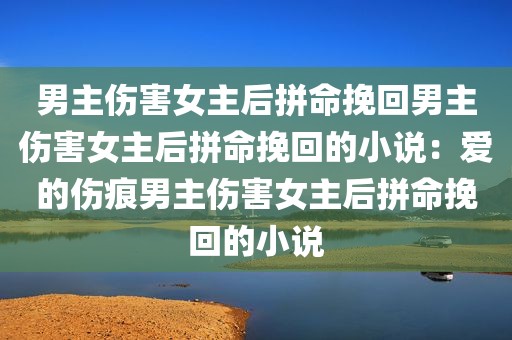 男主伤害女主后拼命挽回男主伤害女主后拼命挽回的小说：爱的伤痕男主伤害女主后拼命挽回的小说