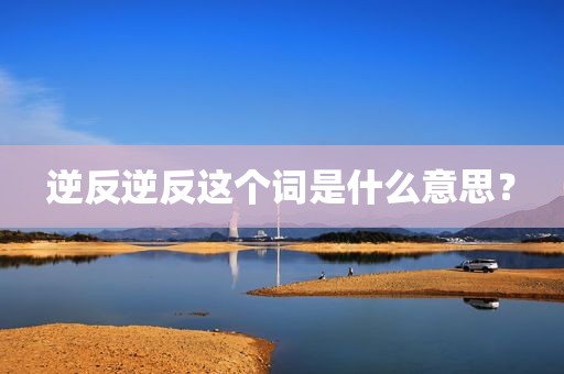 逆反逆反这个词是什么意思？