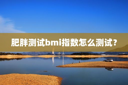肥胖测试bmi指数怎么测试？