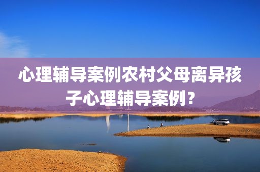 心理辅导案例农村父母离异孩子心理辅导案例？