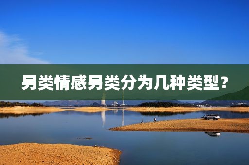 另类情感另类分为几种类型？