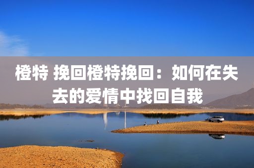 橙特 挽回橙特挽回：如何在失去的爱情中找回自我