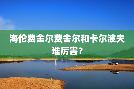 海伦费舍尔费舍尔和卡尔波夫谁厉害？