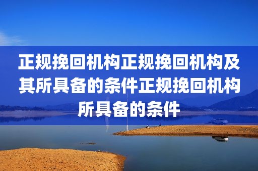 正规挽回机构正规挽回机构及其所具备的条件正规挽回机构所具备的条件