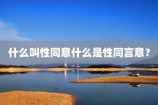 什么叫性同意什么是性同言意？