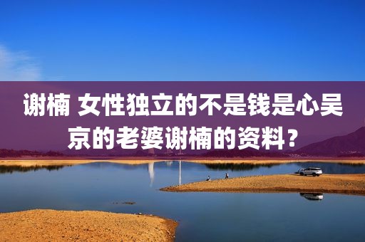 谢楠 女性独立的不是钱是心吴京的老婆谢楠的资料？