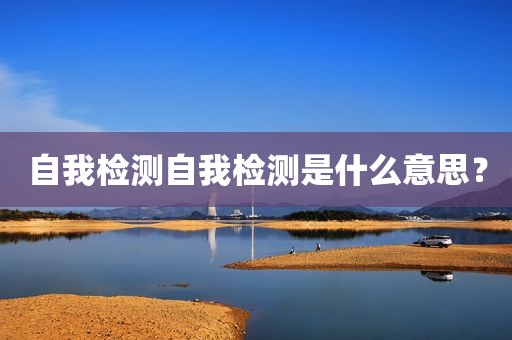 自我检测自我检测是什么意思？