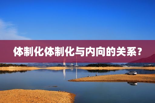 体制化体制化与内向的关系？