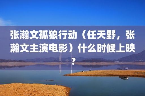 张瀚文孤狼行动（任天野，张瀚文主演电影）什么时候上映？