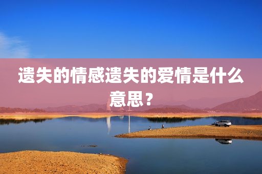 遗失的情感遗失的爱情是什么意思？