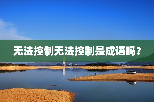 无法控制无法控制是成语吗？