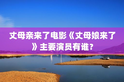 丈母亲来了电影《丈母娘来了》主要演员有谁？