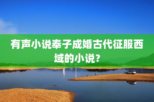 有声小说奉子成婚古代征服西域的小说？