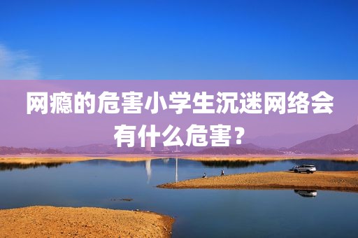 网瘾的危害小学生沉迷网络会有什么危害？