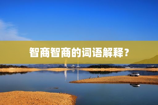 智商智商的词语解释？