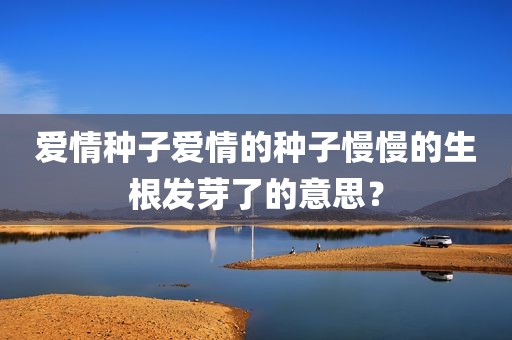爱情种子爱情的种子慢慢的生根发芽了的意思？