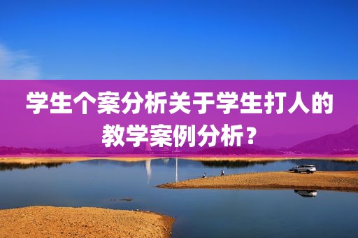学生个案分析关于学生打人的教学案例分析？