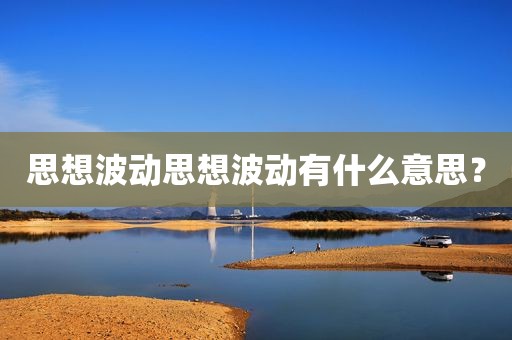 思想波动思想波动有什么意思？