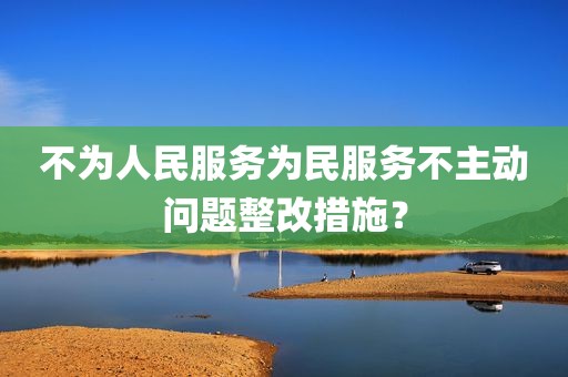 不为人民服务为民服务不主动问题整改措施？