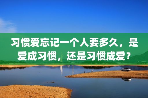 习惯爱忘记一个人要多久，是爱成习惯，还是习惯成爱？