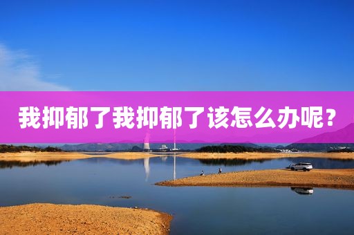 我抑郁了我抑郁了该怎么办呢？