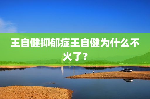 王自健抑郁症王自健为什么不火了？