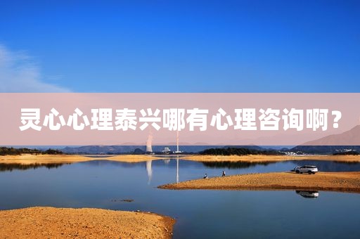 灵心心理泰兴哪有心理咨询啊？