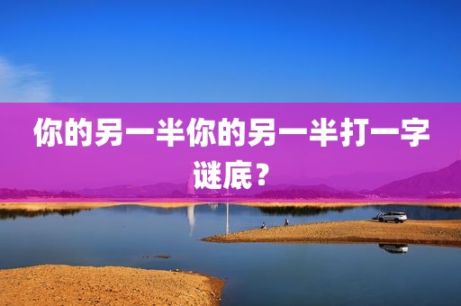你的另一半你的另一半打一字谜底？
