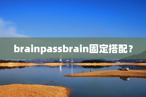 brainpassbrain固定搭配？