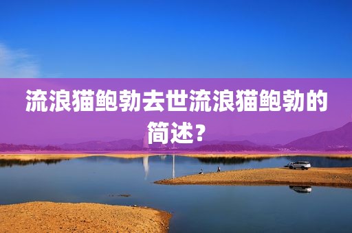 流浪猫鲍勃去世流浪猫鲍勃的简述？