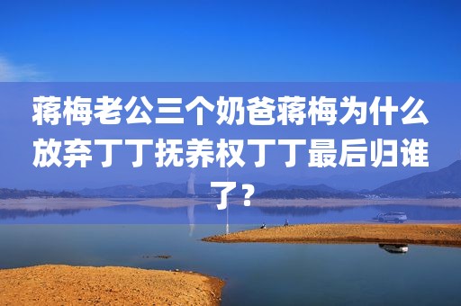 蒋梅老公三个奶爸蒋梅为什么放弃丁丁抚养权丁丁最后归谁了？