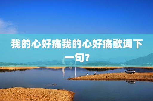 我的心好痛我的心好痛歌词下一句？