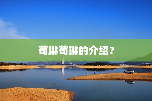 荀琳荀琳的介绍？