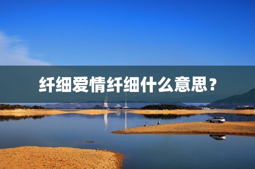纤细爱情纤细什么意思？