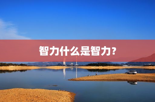 智力什么是智力？