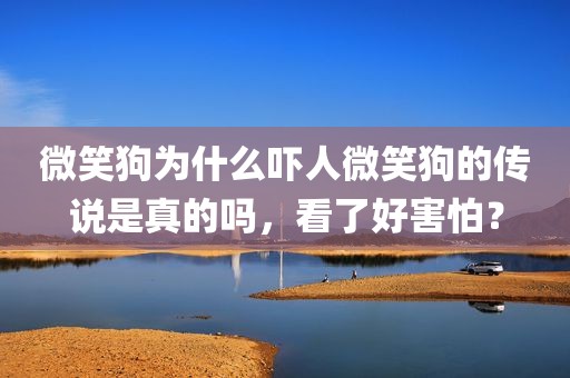 微笑狗为什么吓人微笑狗的传说是真的吗，看了好害怕？