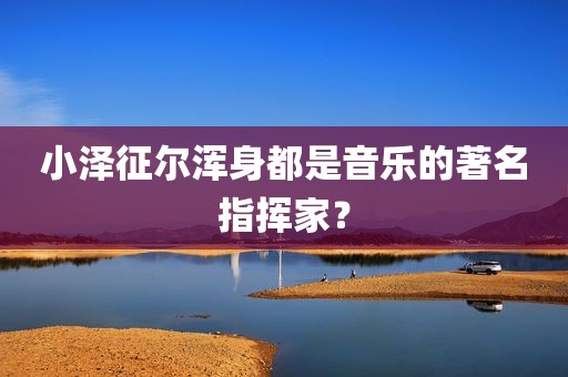 小泽征尔浑身都是音乐的著名指挥家？