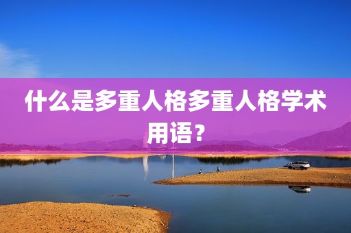 什么是多重人格多重人格学术用语？
