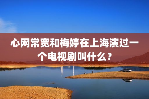 心网常宽和梅婷在上海演过一个电视剧叫什么？