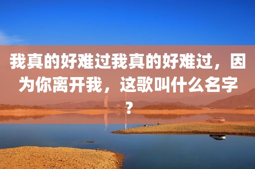 我真的好难过我真的好难过，因为你离开我，这歌叫什么名字？