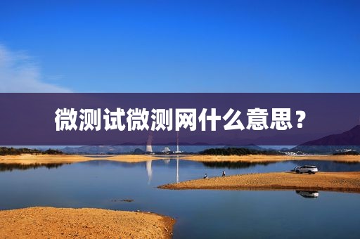 微测试微测网什么意思？