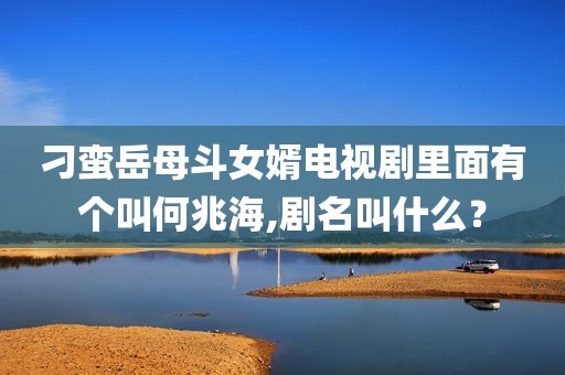 刁蛮岳母斗女婿电视剧里面有个叫何兆海,剧名叫什么？