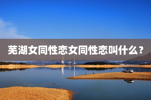 芜湖女同性恋女同性恋叫什么？