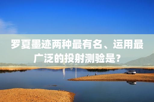 罗夏墨迹两种最有名、运用最广泛的投射测验是？
