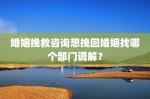 婚姻挽救咨询想挽回婚姻找哪个部门调解？