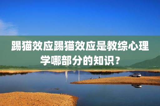 踢猫效应踢猫效应是教综心理学哪部分的知识？