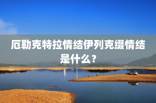 厄勒克特拉情结伊列克缀情结是什么？