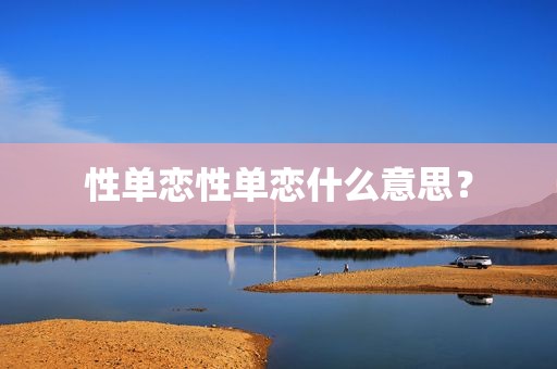 性单恋性单恋什么意思？