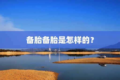 备胎备胎是怎样的？