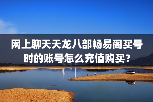 网上聊天天龙八部畅易阁买号时的账号怎么充值购买？